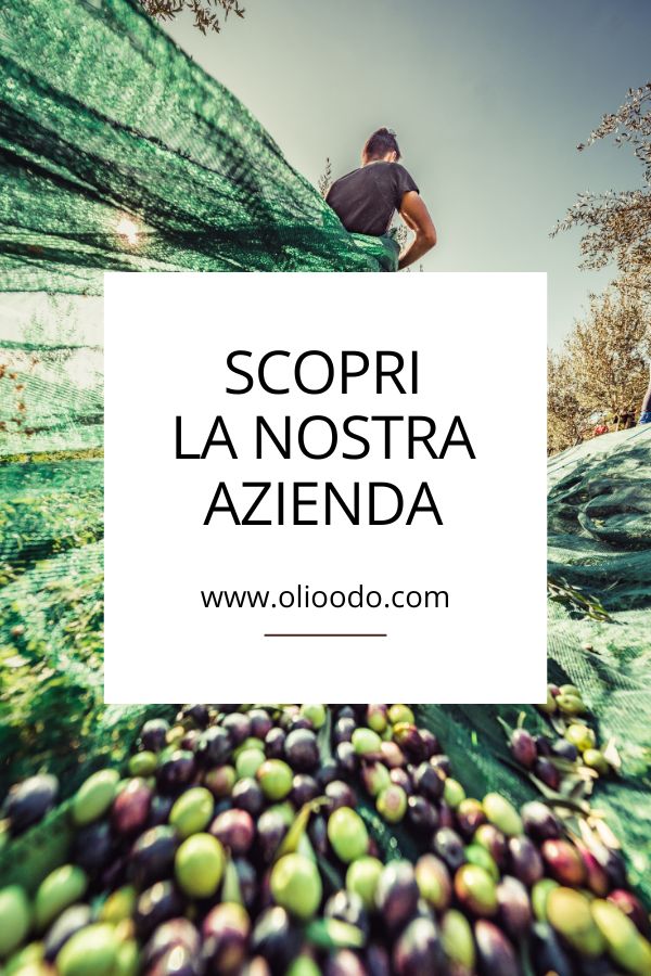 Olio ODO - vendita online - olio extravergine d'oliva