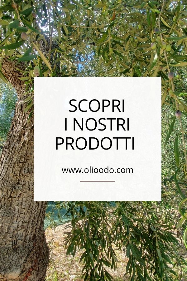 Olio ODO - vendita online - olio extravergine d'oliva